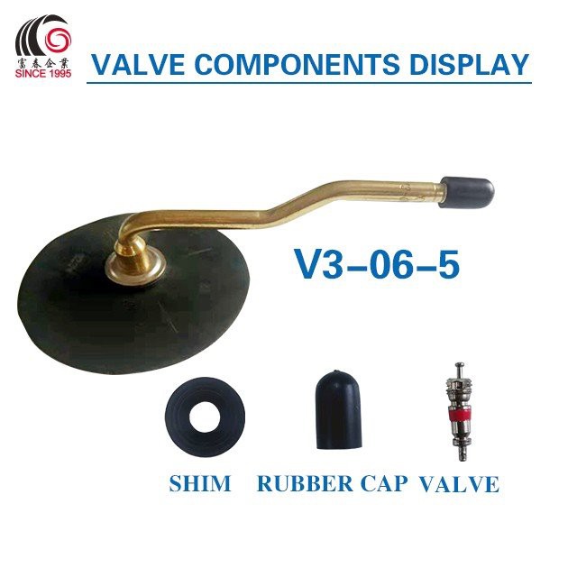 r20 inner tube